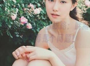 51吃瓜今日线路：胖猫吃瓜，体重不再是个问题！
