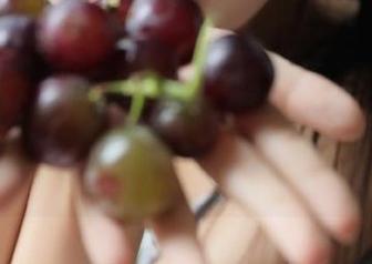 51爆料最新出炉！自称“美食家”的小伙子，打开了一瓶前所未见的调味品…