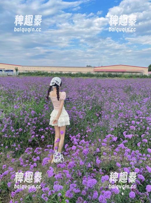 黑料不打样：八卦界的GPS，永不迷路，瓜皮随便剥！