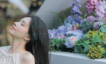 万里长征黑料不打烊网站，2025年瓜田李下，让八卦圈都惊驾！