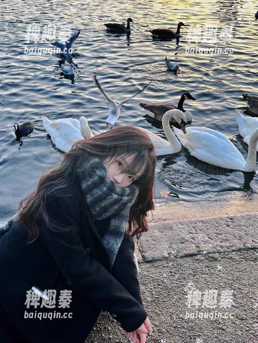 “万篇长征黑料正能量”app：还你不一样的八卦体验，惊呆你的吃瓜行程！